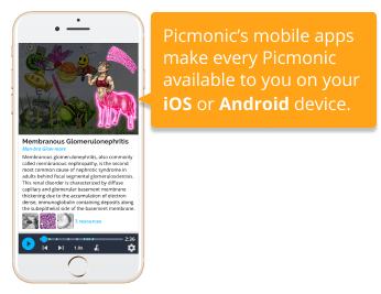 Picmonic mobile